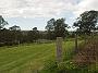 Tinonee-orchids-II 032